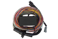 Thumbnail for Haltech Elite 750 8ft Premium Universal Wire-In Harness