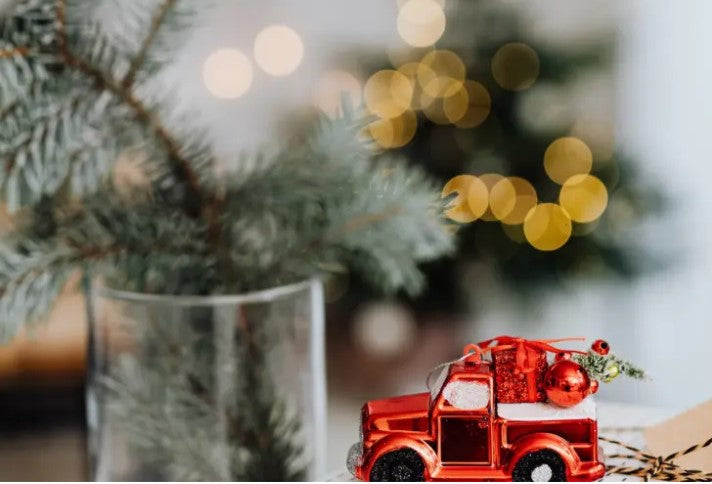 Holiday Shopping under $100!