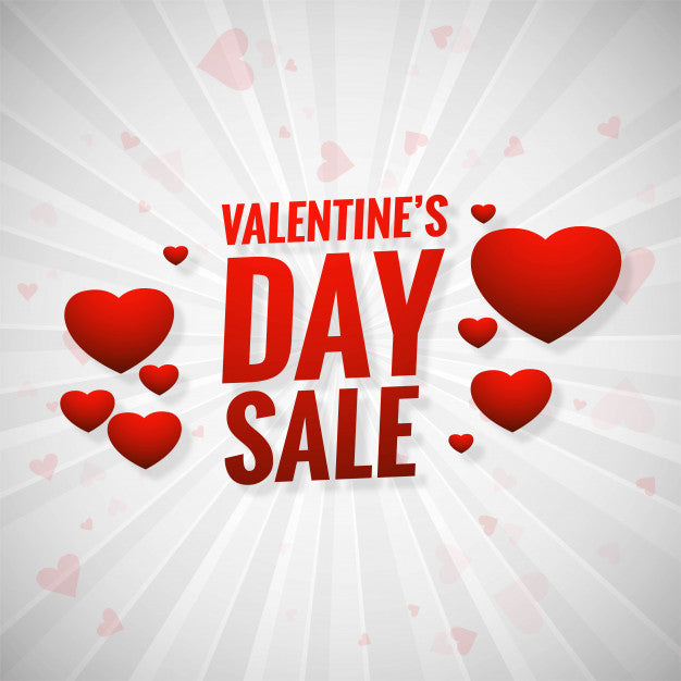 Valentine's Day Filter Sale!