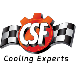 CSF