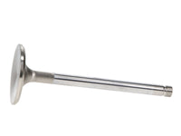 Thumbnail for User 1