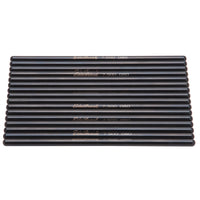 Thumbnail for Photo - Primary