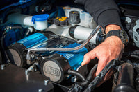 Thumbnail for Photo - Mounted