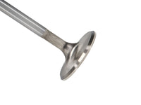 Thumbnail for Photo - Primary