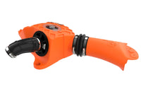 Thumbnail for Photo - Unmounted