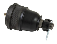 Thumbnail for Photo - Primary