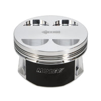 Thumbnail for User 4