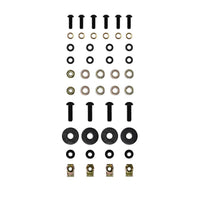 Thumbnail for Photo - Unmounted