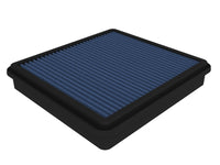 Thumbnail for Photo - Primary