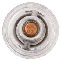 Thumbnail for Photo - out of package