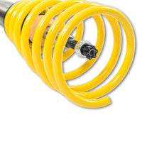 Thumbnail for User 4