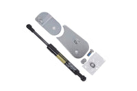 Thumbnail for Photo - Unmounted