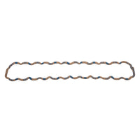 Thumbnail for Photo - Primary