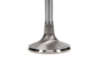 Thumbnail for User 3