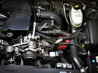 Thumbnail for Photo - Mounted