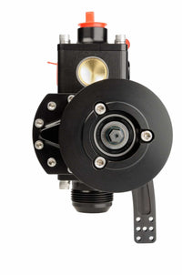 Thumbnail for Photo - Close Up