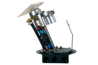 Thumbnail for Photo - Primary