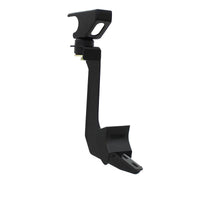 Thumbnail for Photo - Unmounted