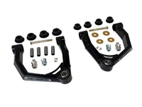 Thumbnail for User 1