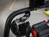 Thumbnail for Photo - Mounted