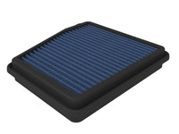 Thumbnail for Photo - Primary