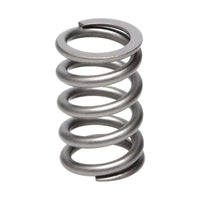 Thumbnail for Manley Toyota Supra (2JZGT 2JZGTE 6 cyl) 24pc Valve Springs