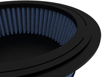 Thumbnail for Photo - Close Up