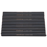 Thumbnail for Photo - Primary