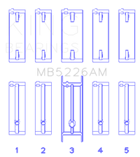 Thumbnail for Photo - Primary