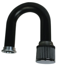 Thumbnail for Photo - Primary