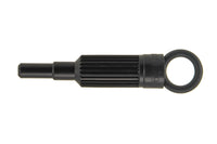 Thumbnail for Photo - Primary