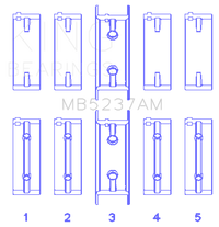 Thumbnail for Photo - Primary