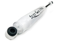 Thumbnail for Photo - Unmounted