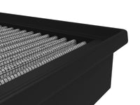 Thumbnail for Photo - Close Up