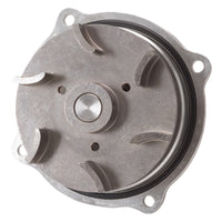 Thumbnail for Photo - Primary