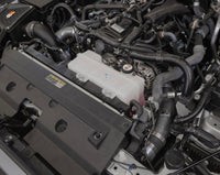 Thumbnail for Photo - Mounted