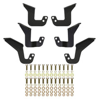 Thumbnail for Photo - Unmounted