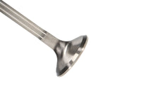 Thumbnail for Photo - Primary