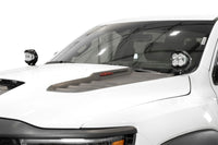 Thumbnail for Photo - Mounted