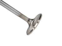 Thumbnail for Manley Toyota Land Cruiser 4.5L (1FZ-FE) DOHC 24 Valve 39.5mm Race Flo Intake Valves (Set of 24)