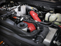 Thumbnail for Photo - Mounted