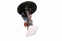 Thumbnail for Photo - Close Up