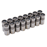 Thumbnail for Photo - Primary