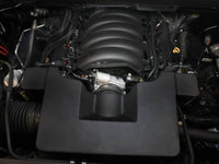 Thumbnail for Photo - Mounted