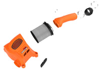 Thumbnail for Photo - Unmounted