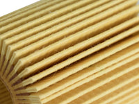 Thumbnail for Photo - Unmounted