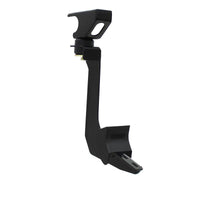 Thumbnail for Photo - Unmounted