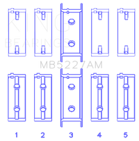 Thumbnail for Photo - Primary