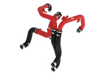 Thumbnail for Photo - Primary