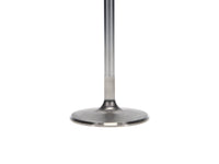 Thumbnail for User 3